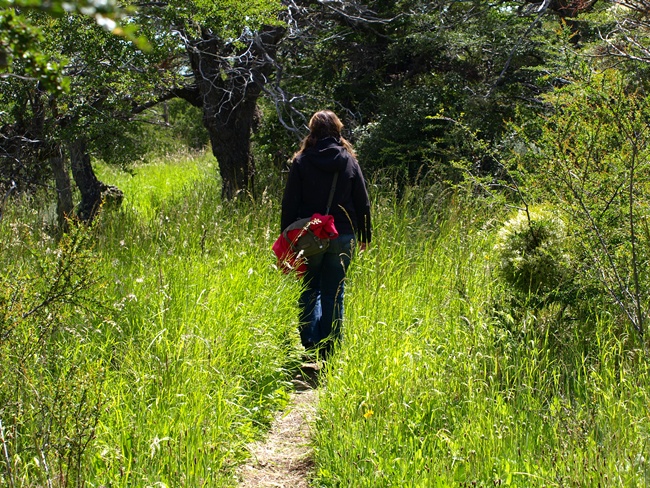 ../../Pictures/240110/014 Torres del Paine Park.JPG